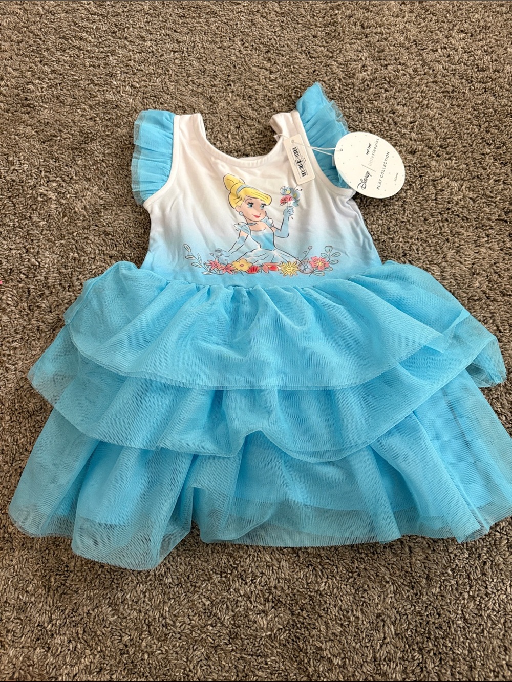 Little Sleepies Blue Tulle Layered Cinderella Dress
